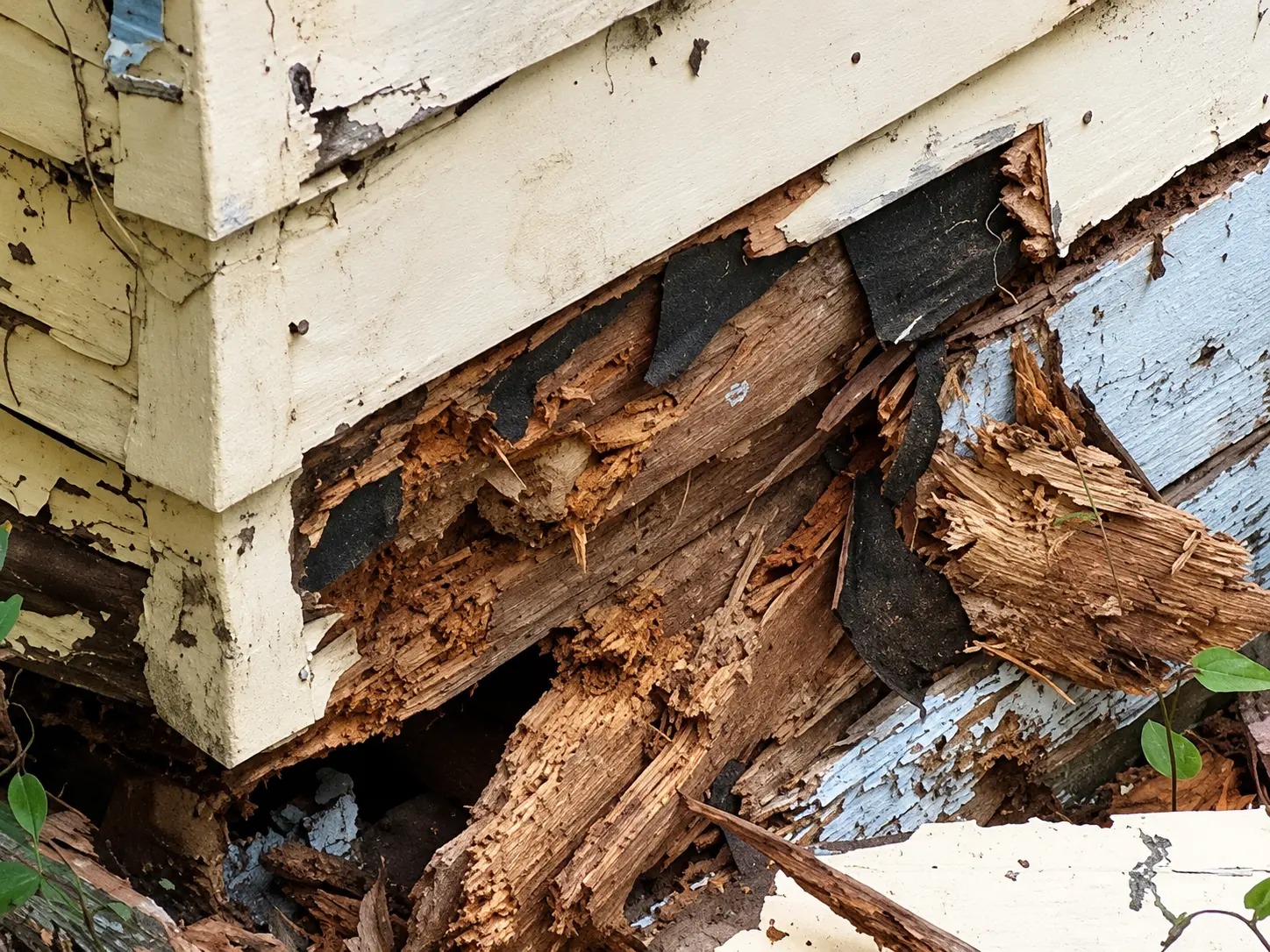 Dry Rot Repair — Alamo, CA